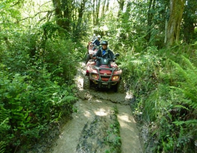 Roderas de barro